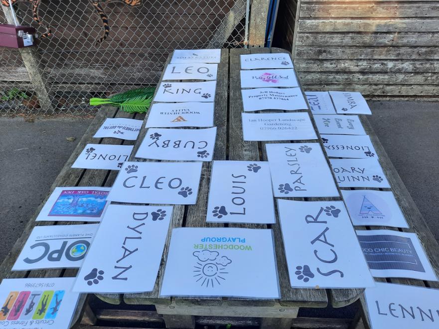 sponsors and names 