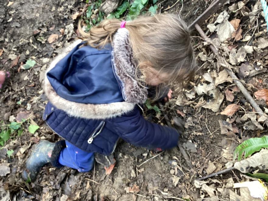 Forest School Geog 2