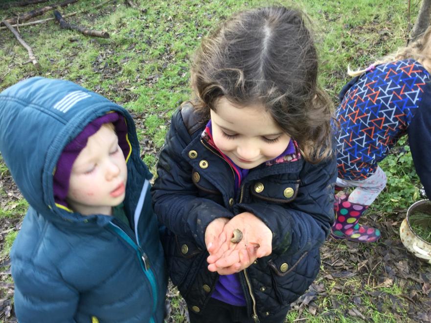 EYFS Investigating snails 