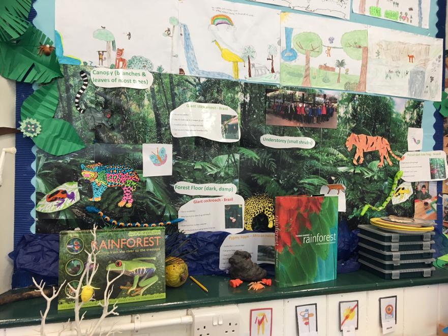 Plants Rainforest 